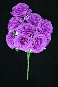 Lavender Open Rose Bush x9  (Lot of 1) SALE ITEM